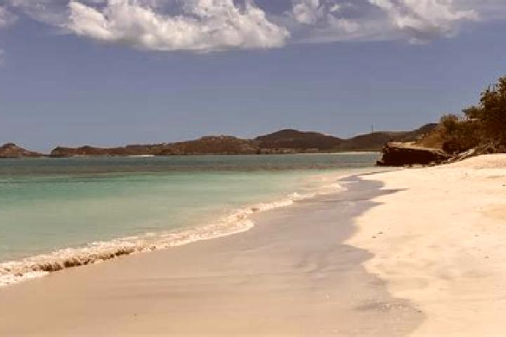 Rose, 35 — Escort in Codrington, Antigua and Barbuda