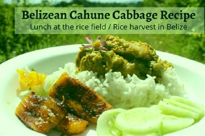Rose, 35 — Escort in Double Head Cabbage, Belize