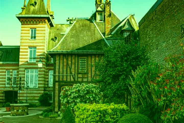 Rose, 35 — Escort in Forges-les-Eaux, France