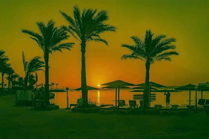 Rose, 35 — Escort in Hurghada, Egypt