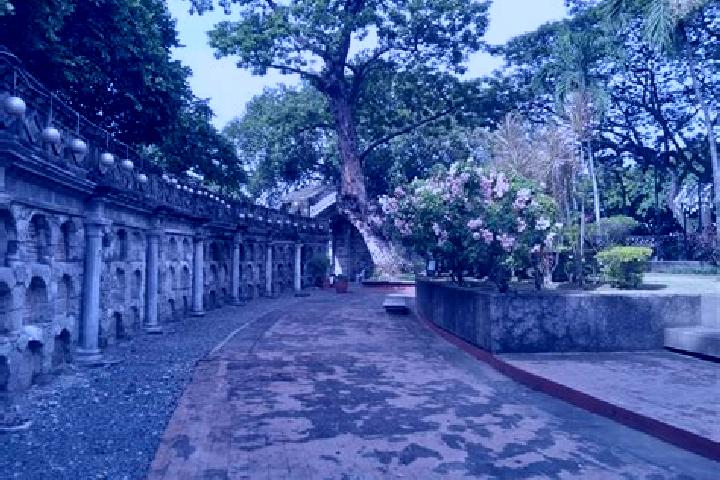 Rose, 35 — Escort in Paco Roman, Philippines