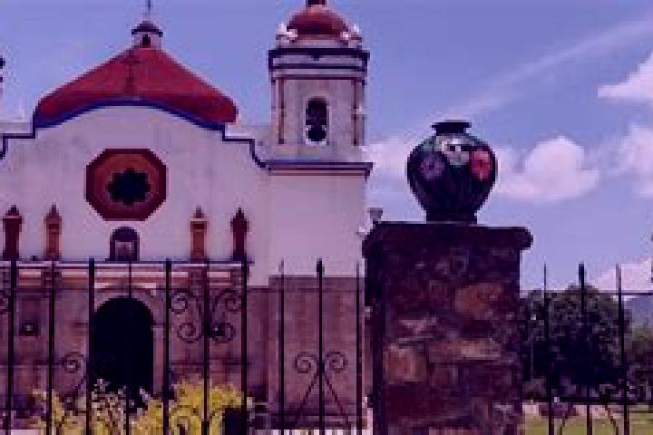 Rose, 35 — Escort in San Bartolo Tutotepec, Mexico