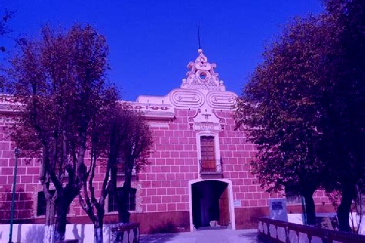 Rose, 35 — Escort in San Luis Apizaquito, Mexico
