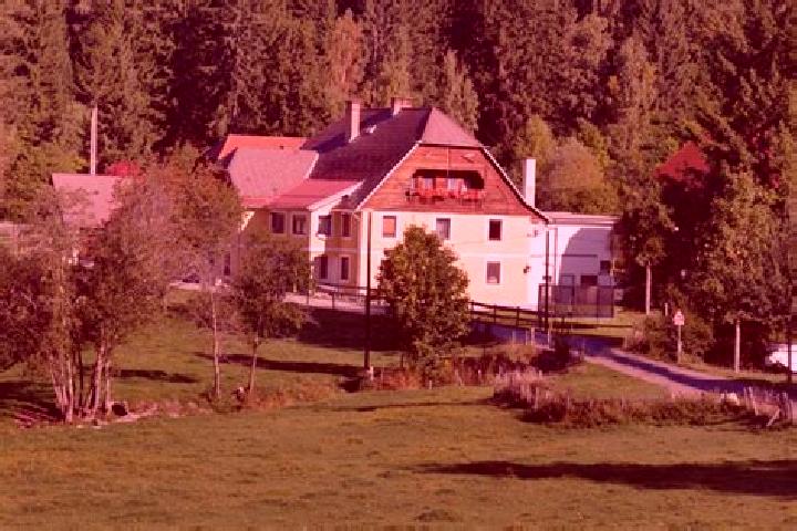 Rose, 35 — Escort in Sankt Georgen bei Neumarkt, Austria