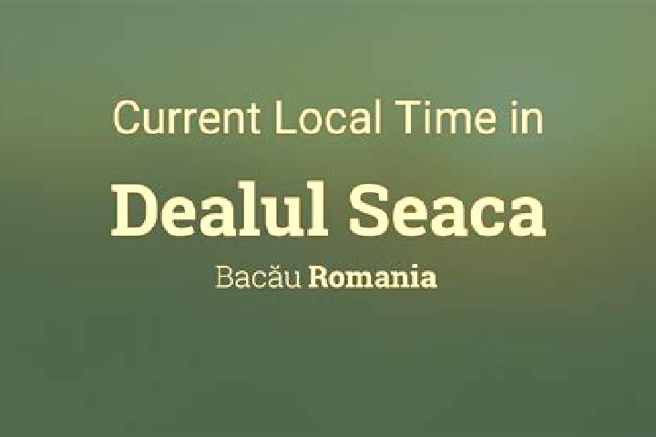 Rose, 35 — Escort in Seaca, Romania