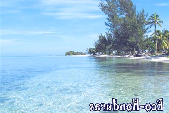 Rose, 35 — Escort in Tikiraya, Honduras