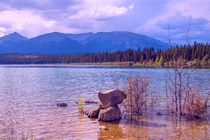 Rose, 35 — Escort in Watson Lake, Canada