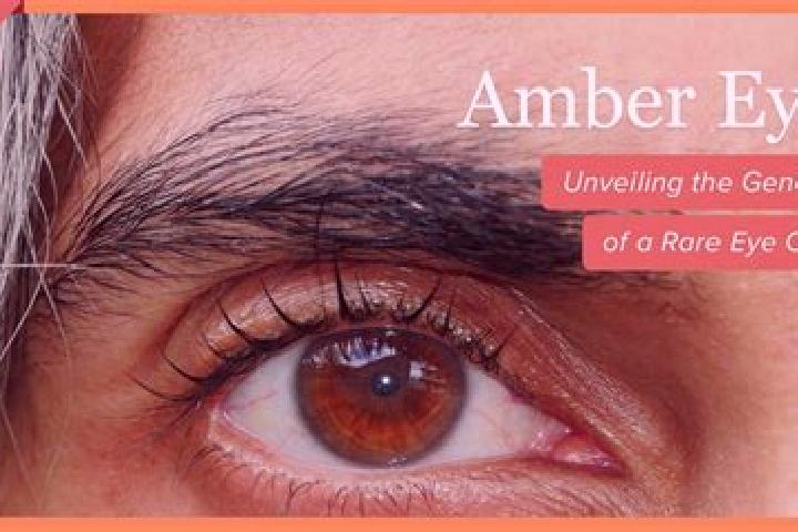 Rose, 36, a black amber-eyed slavic companion based in Communay. Offering Overnight, CIM, Duos. Available for incall and outcall, overnight bookings available.
