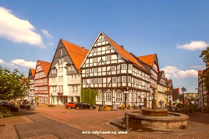 Rose, 36 — Escort in Bad Wildungen, Germany