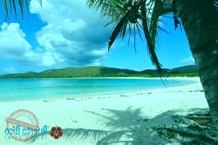 Rose, 36 — Escort in Culebra, Puerto Rico