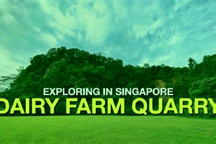 Rose, 36 — Escort in Dairy Farm, Singapore