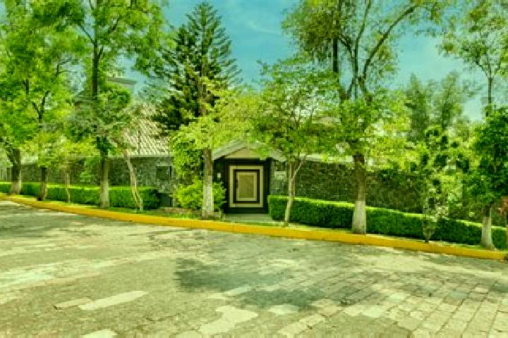 Rose, 36 — Escort in Fuentes del Sol, Mexico