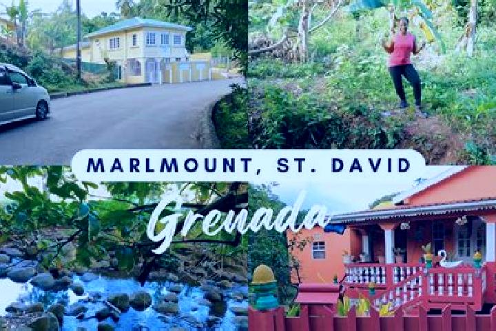Rose, 36 — Escort in Grenada Village, New Zealand