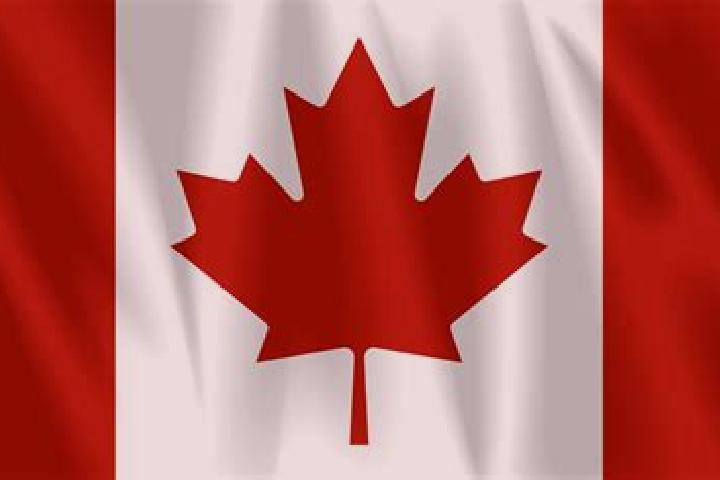 Rose, 36 — Escort in Maple Leaf, Canada