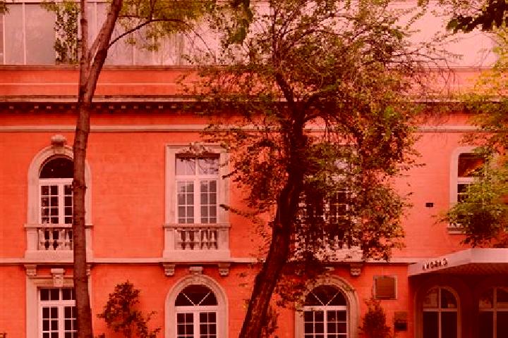 Rose, 36 — Escort in Mario Sauza, Mexico