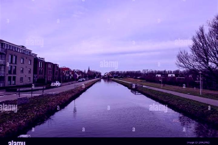 Rose, 36 — Escort in Nieuwerkerk, Netherlands
