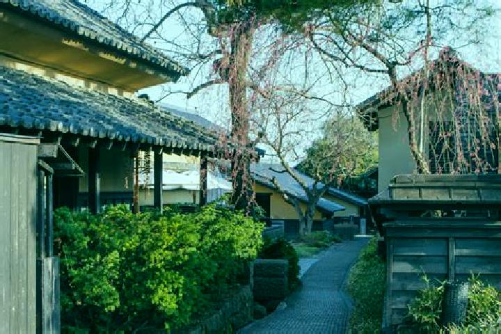 Rose, 36 — Escort in Obuse, Japan