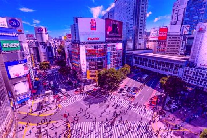 Rose, 36 — Escort in Shibuya, Japan