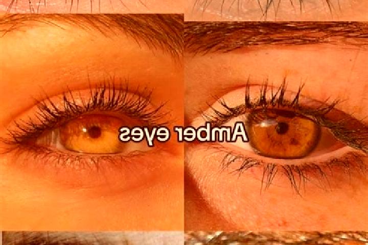 Rose, 37, a chestnut amber-eyed middle eastern companion based in Buna. Offering Travel Companion, BDSM, GFE, Overnight, Couples. Available for incall and ou...