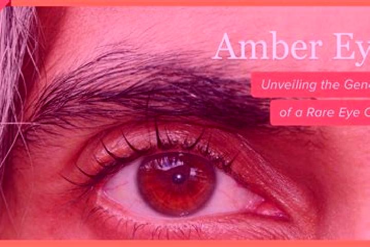 Rose, 37, a red amber-eyed mixed companion based in Ovoot. Offering Striptease, BDSM, A-Level, OWO. Available for incall and outcall, overnight bookings avai...