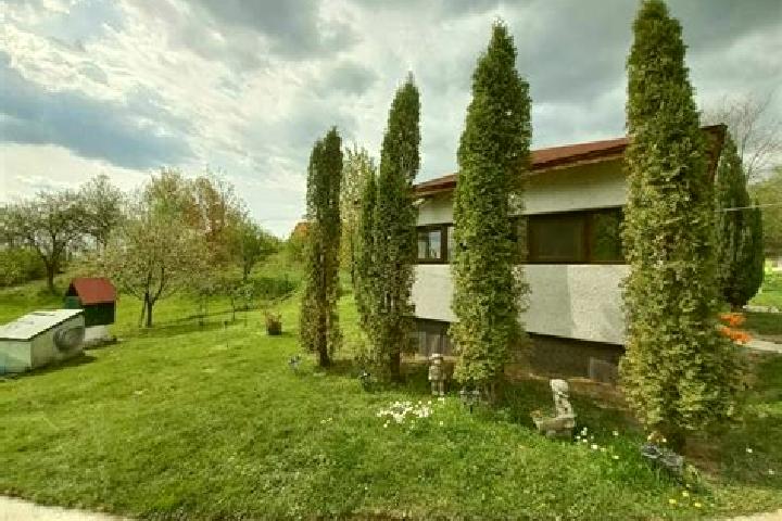 Rose, 37 — Escort in Certeju de Sus, Romania