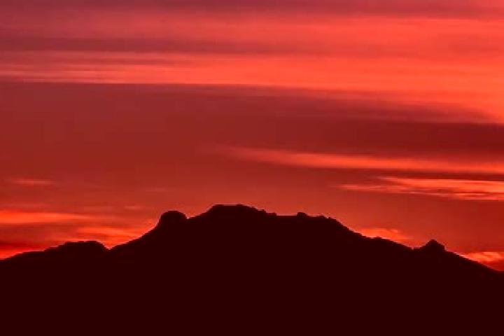 Rose, 37 — Escort in El Cerro de la Sauceda, Mexico