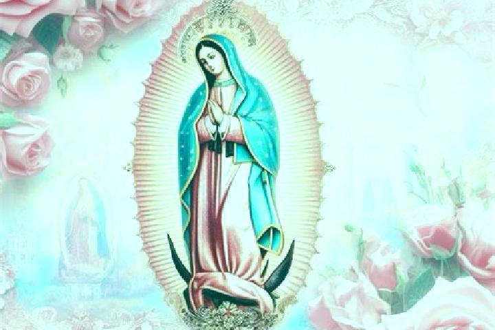 Rose, 37 — Escort in Guadalupe, Ecuador