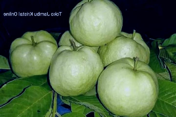 Rose, 37 — Escort in Jambu, Indonesia