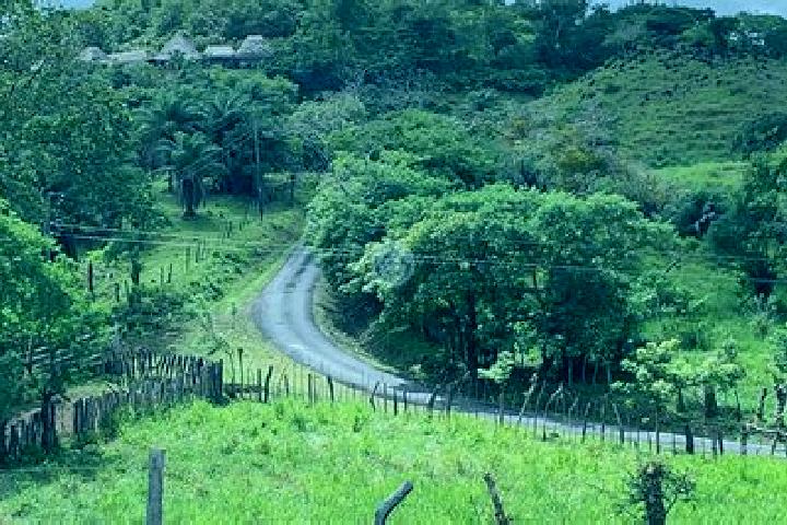 Rose, 37 — Escort in Lajas de Tole, Panama