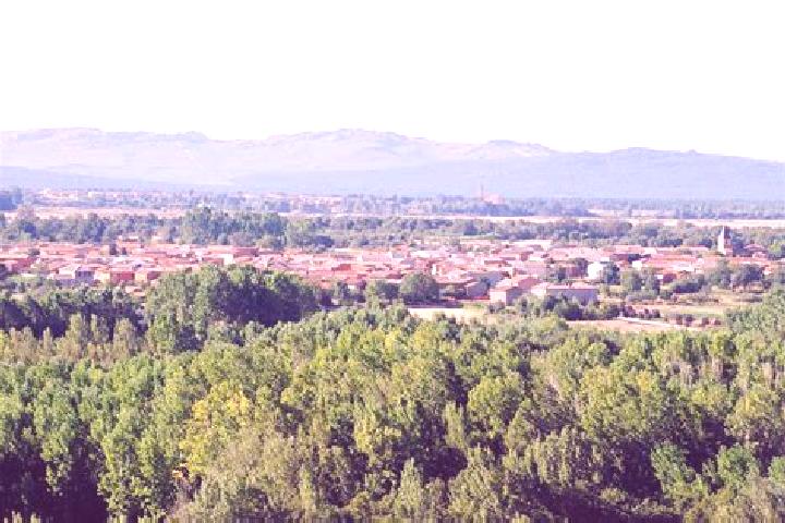 Rose, 37 — Escort in Palacios de la Valduerna, Spain