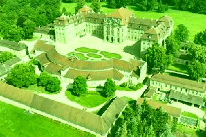 Rose, 37 — Escort in Pommersfelden, Germany