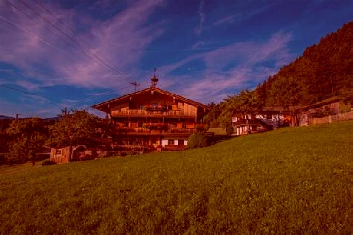 Rose, 37 — Escort in Reith im Alpbachtal, Austria