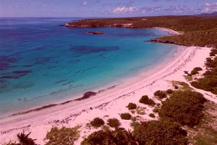 Rose, 37 — Escort in Vieques, Puerto Rico