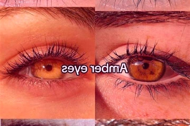 Rose, 38, a chestnut amber-eyed slavic companion based in Vigo. Offering Domination, Overnight, GFE, Tantra. Available for incall and outcall, day and evenin...