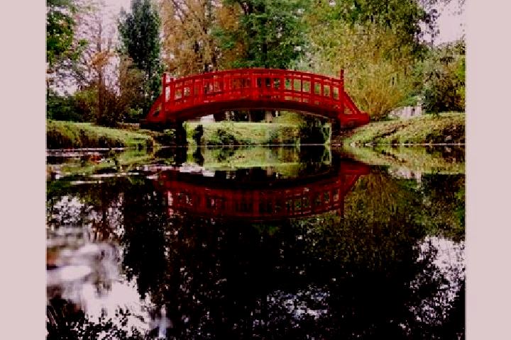 Rose, 38 — Escort in Couilly-Pont-aux-Dames, France