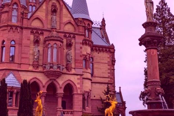 Rose, 38 — Escort in Koenigswinter, Germany