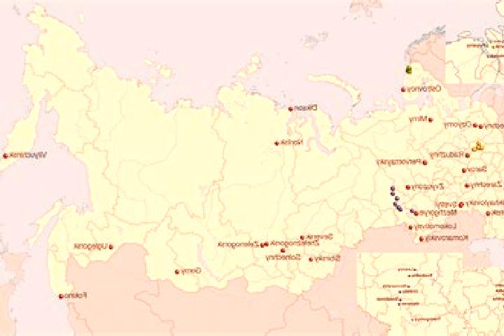 Rose, 38 — Escort in Novonikolayevskiy, Russia