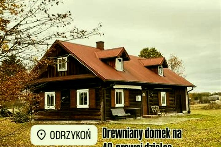 Rose, 38 — Escort in Odrzykon, Poland