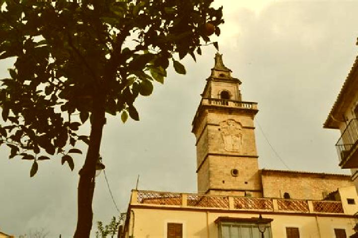 Rose, 38 — Escort in Santa Maria del Cami, Spain