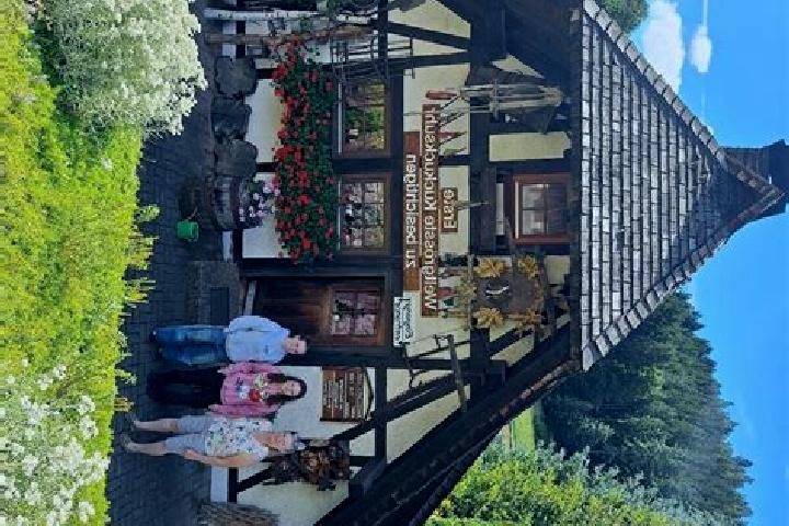 Rose, 38 — Escort in Schonach im Schwarzwald, Germany