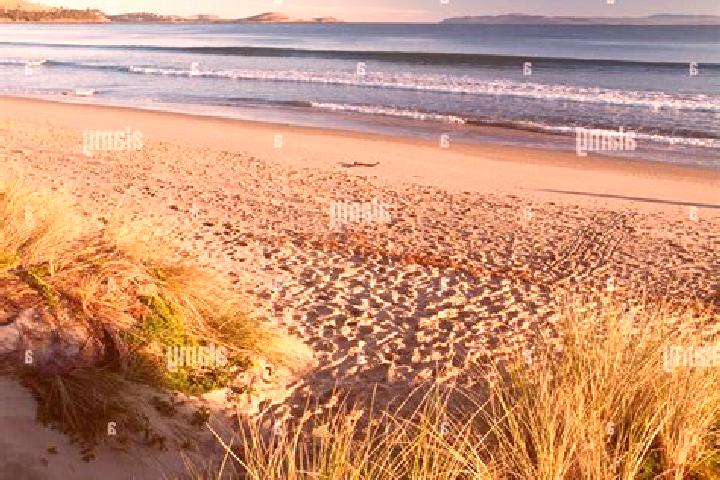 Rose, 38 — Escort in Seven Mile Beach, Australia