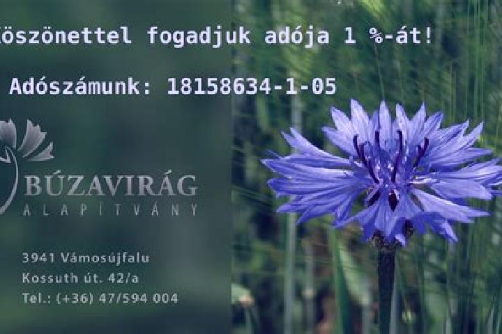 Rose, 38 — Escort in Szirak, Hungary