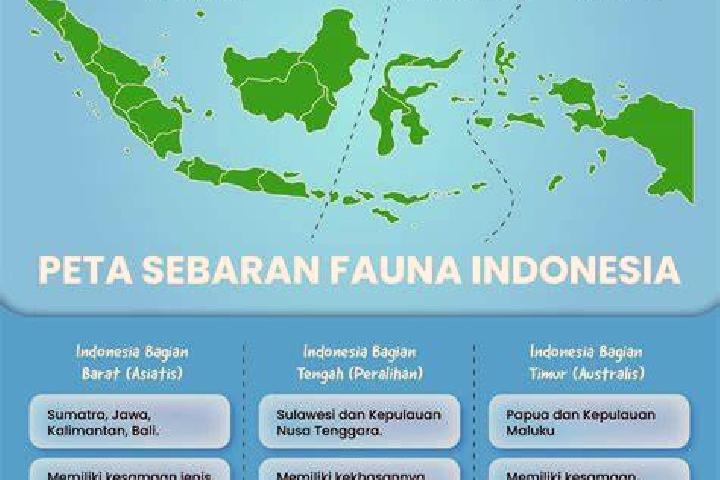 Rose, 38 — Escort in Tengah, Indonesia