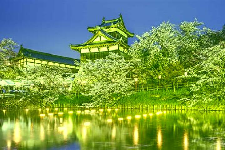 Rose, 38 — Escort in Yamatokoriyama, Japan