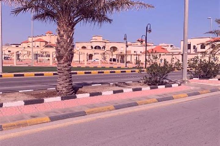 Rose, 39 — Escort in Al Khafji, Saudi Arabia