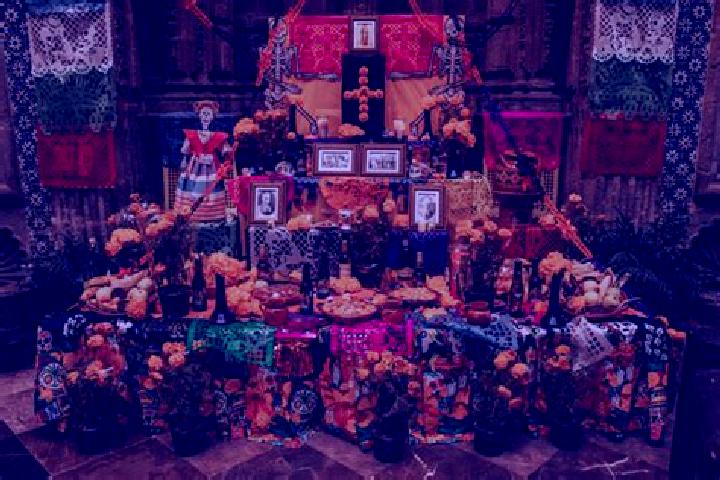 Rose, 39 — Escort in Altar, Mexico