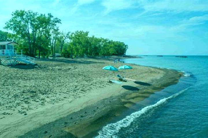 Rose, 39 — Escort in Lake Erie Beach, United States