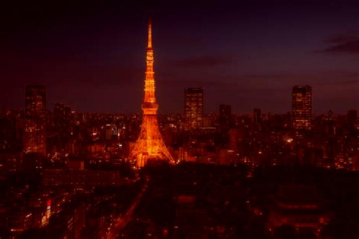 Rose, 39 — Escort in Minato, Japan