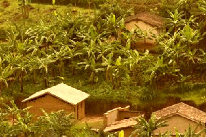 Rose, 39 — Escort in Rangiro, Rwanda