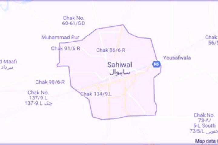 Rose, 39 — Escort in Sahiwal, Pakistan